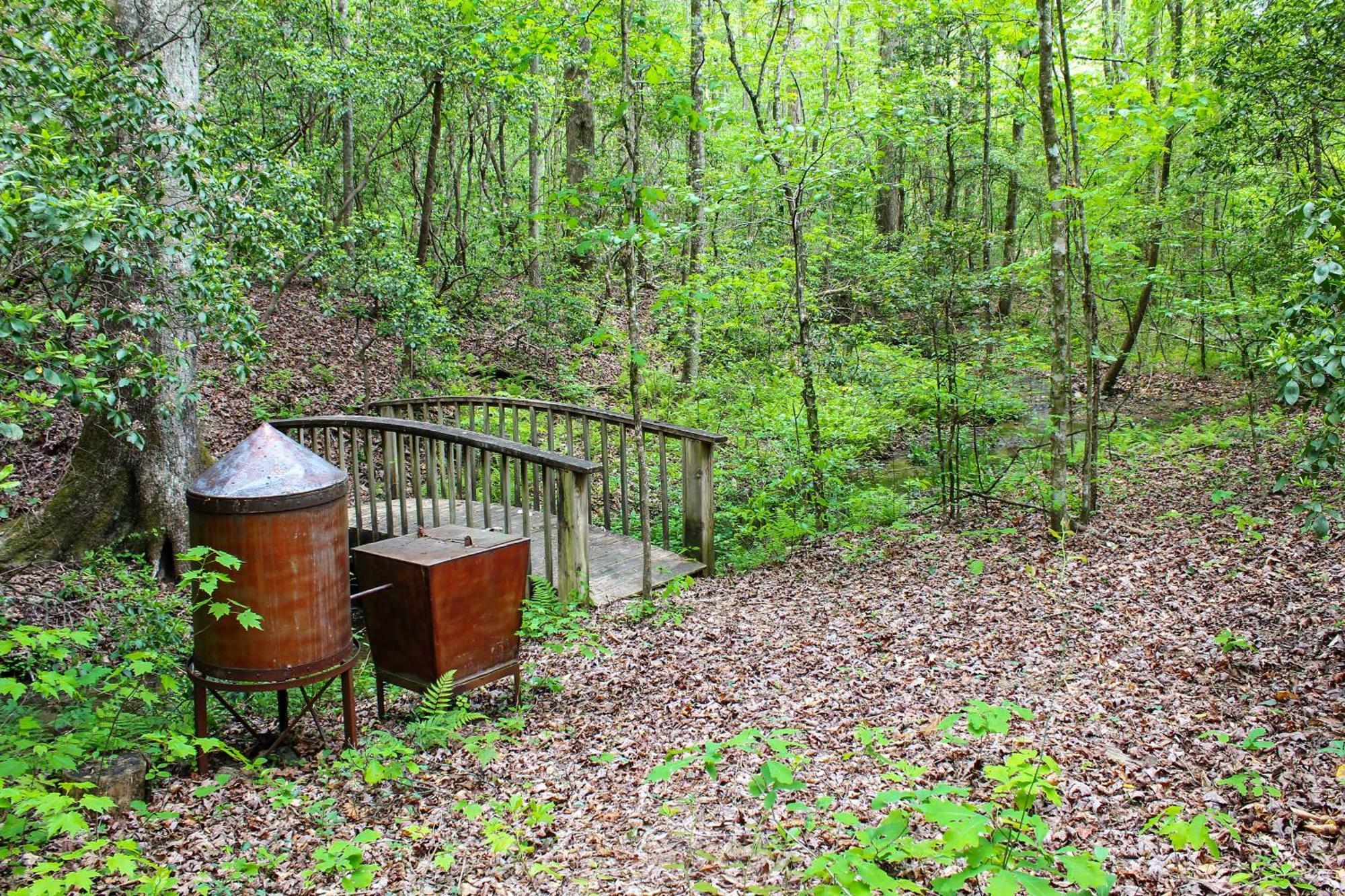 Sautee Nacoochee Mtn Paradise With Spacious Deck! Dış mekan fotoğraf